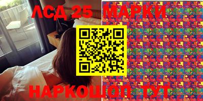 прущие грибы Абакан