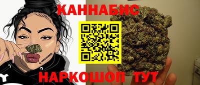прущие грибы Абакан