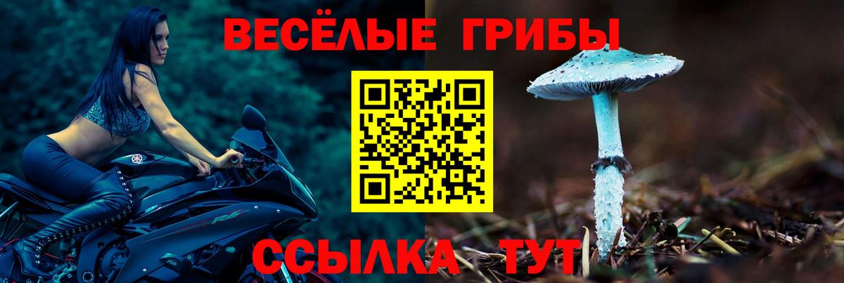 Анапа  Псилоцибиновые грибы GOLDEN TEACHER  Вход с VPN 